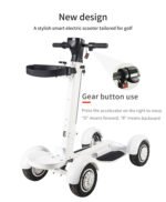 Four Wheel Golf Electric Folding Light Longboard Lawn Course Scooter - Image 4